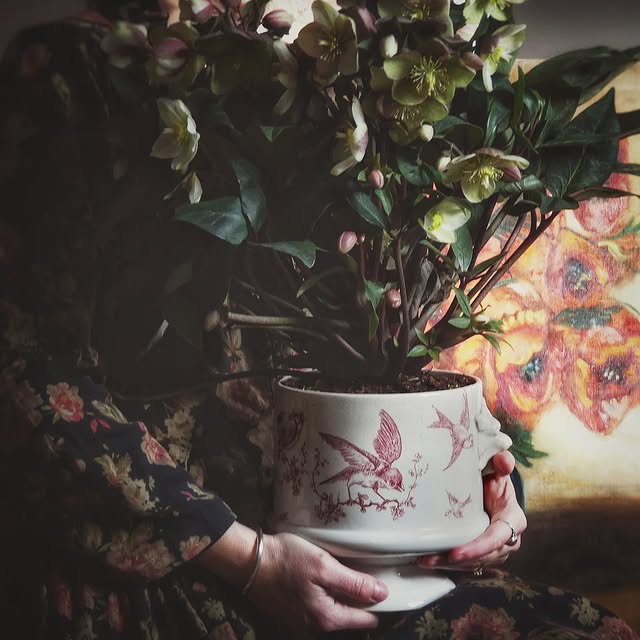 Post by porcelainehouse