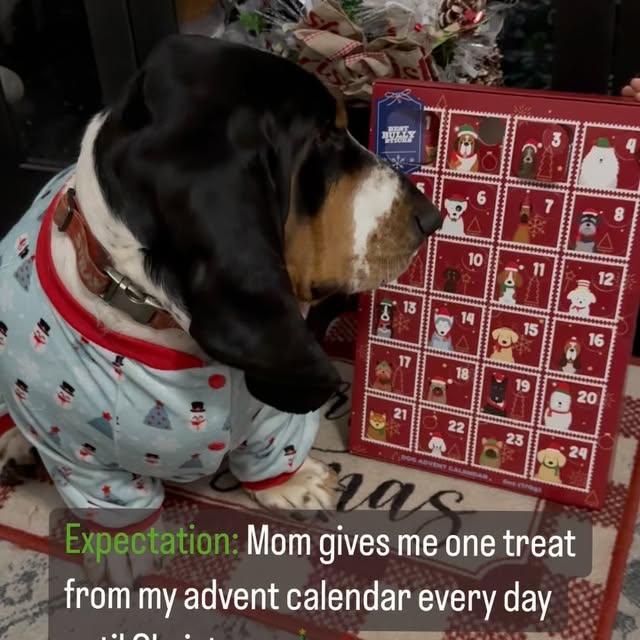 Post by sirbassetwinston