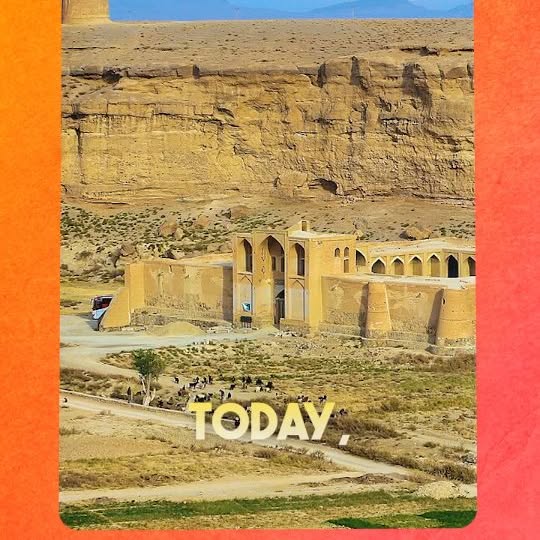 Post by hahnemanntravel