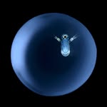 Angel Fitor's profile picture