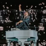 Marek Ztracený's profile picture