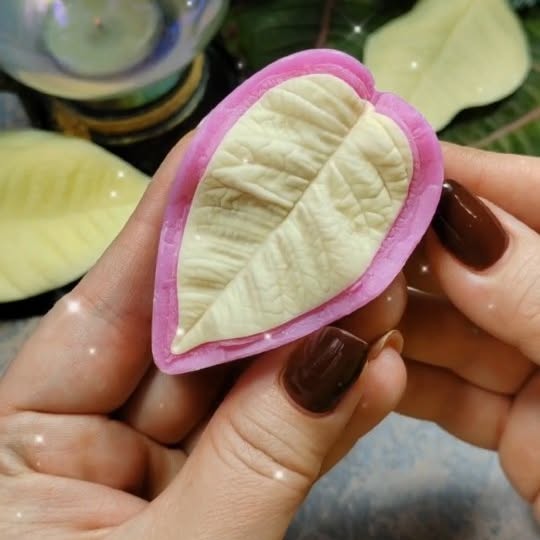 Post by bouquet_of_flowers_nm