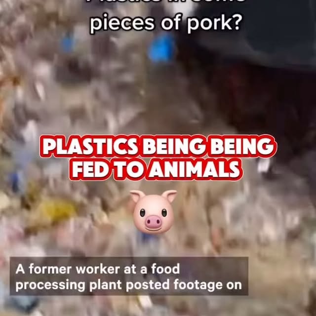 Post by truthordie2024