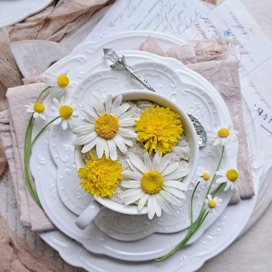 Post by artflower_by_anna