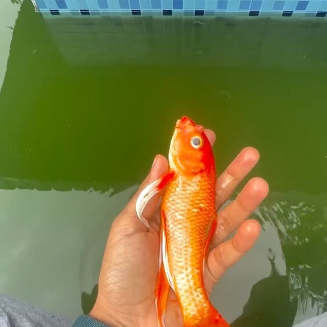 Post by suraksha_unfiltered