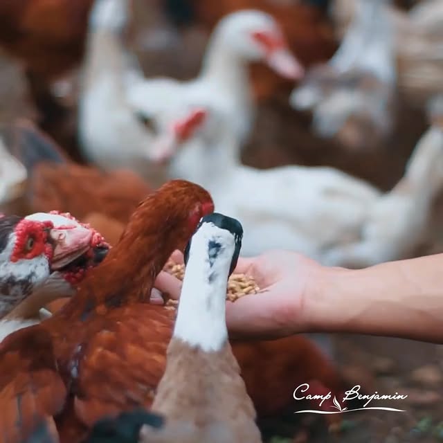 Post by camp.benjamin