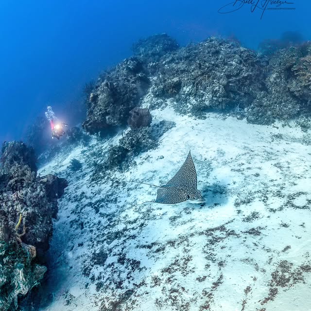 Post by brett_hoelzer