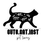 cute.cat.inst's profile picture