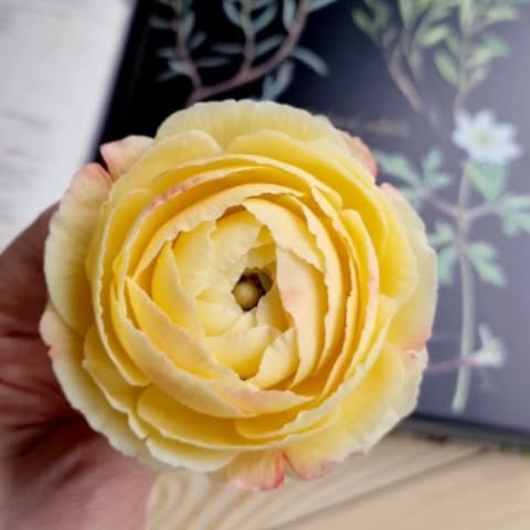 Post by svetasaz_flowers