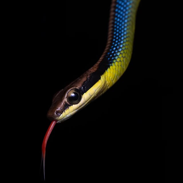 Post by huntingforparadise