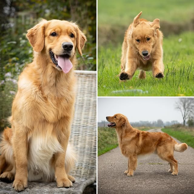 Post by diemitdemlandhaus