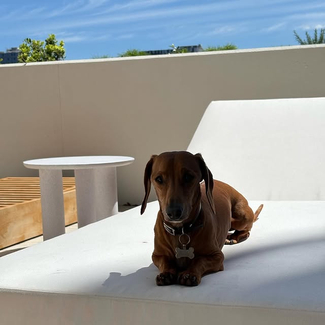 Post by _____yagmurr