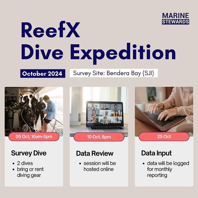 Post by marinestewards