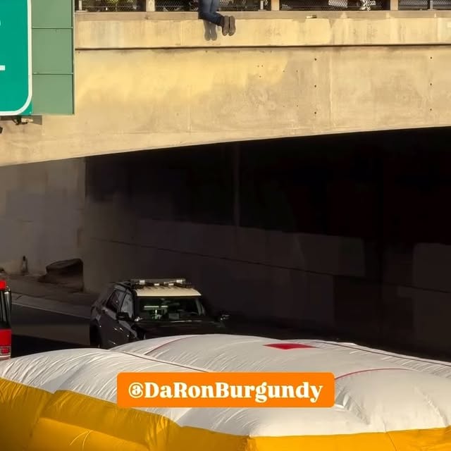 Post by califoolians