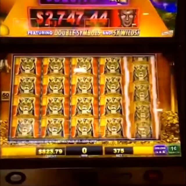 Post by oi.gameofficial