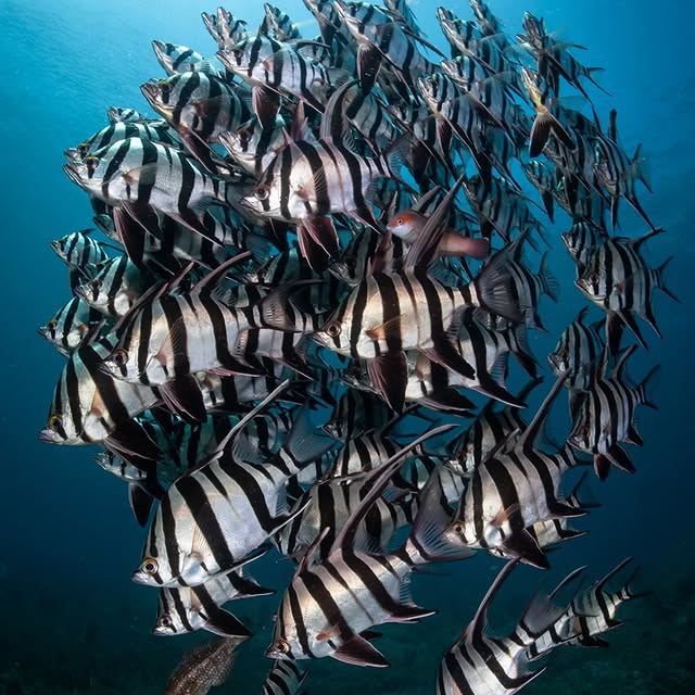 Post by huntingforparadise