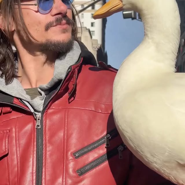 Post by justinwoodcircus