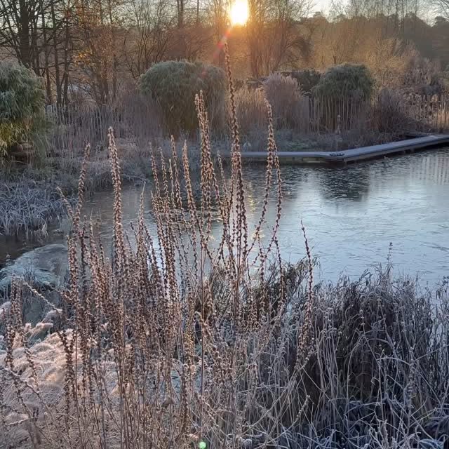 Post by garten_und_hof