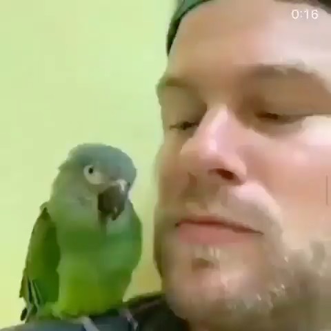 Post by rescuedogeso