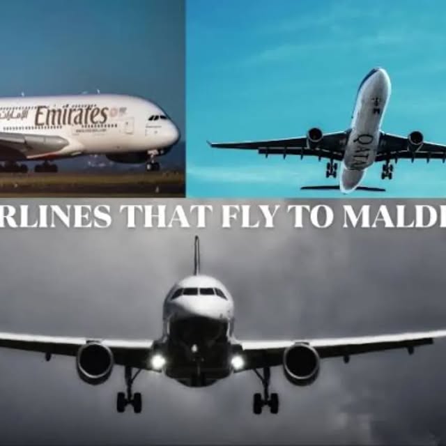 Post by thebanyanflights