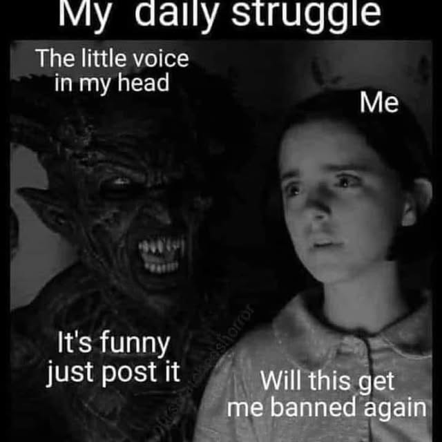 Post by reggiebirdbb