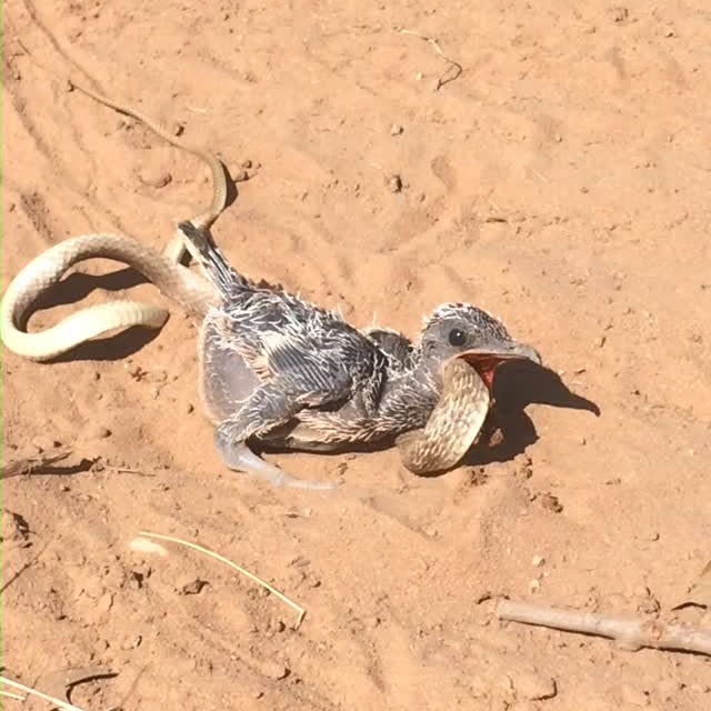 Post by natureismetal