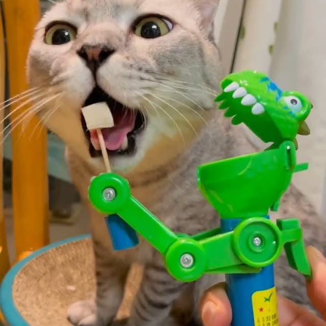 Post by landyliu0610