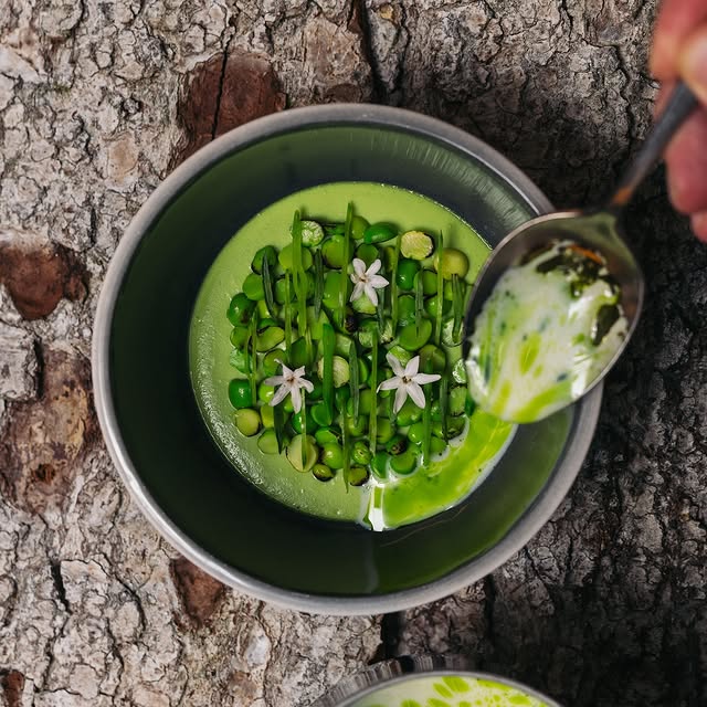 Post by elmira.zuerich