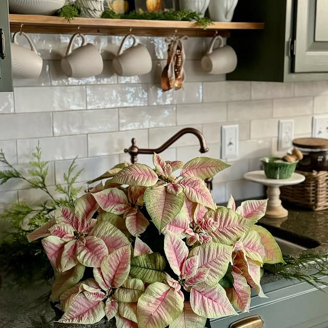 Post by lostandfoundcottage