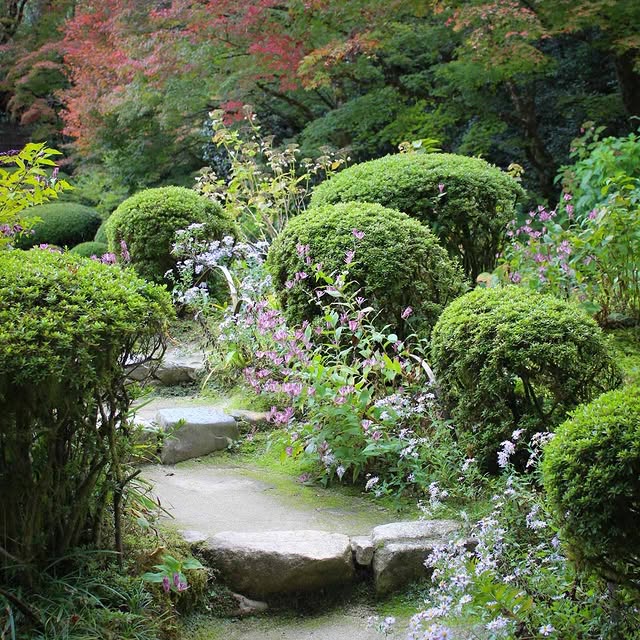 Post by themoosegarden