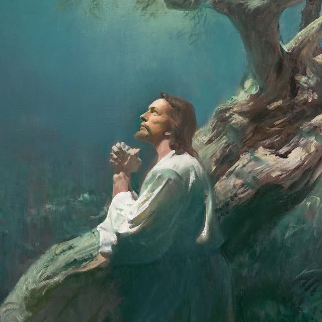 Post by elderpatrickkearon