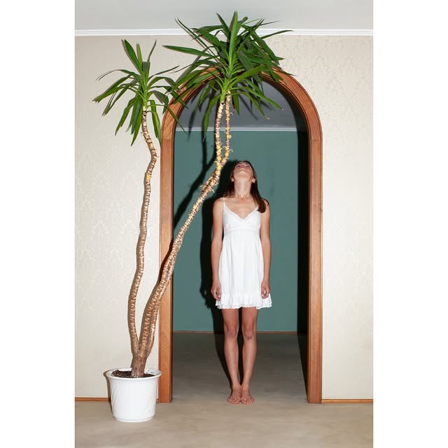 Post by ploetzlicht_studio