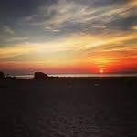 Watering Hole's profile picture