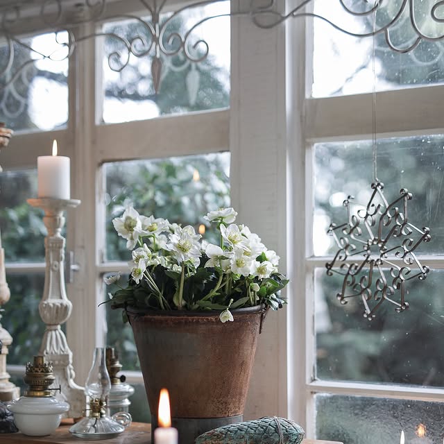 Post by timeundvision_die_blumenfee