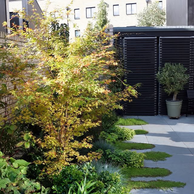 Post by eastlondongardendesign