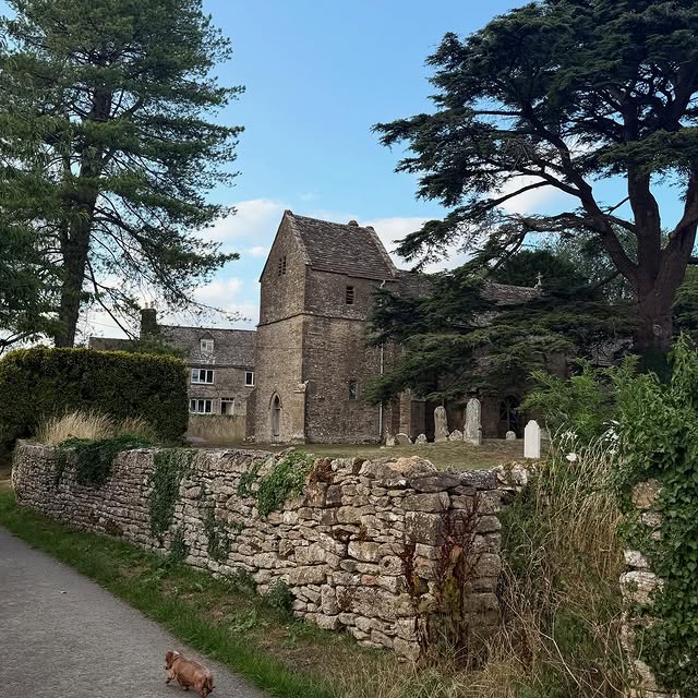 Post by sashawilkins_