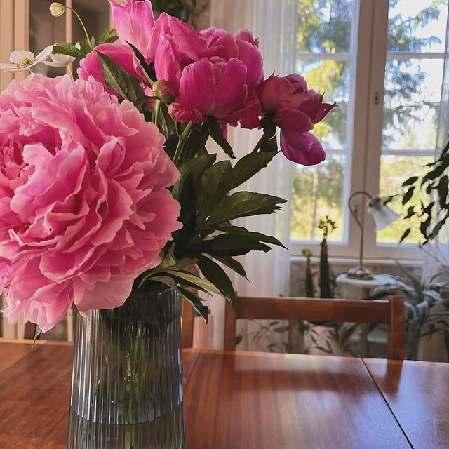 Post by koti_kiskossa