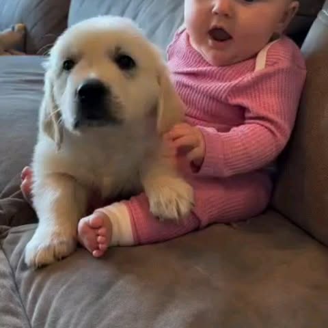 Post by dogszoni
