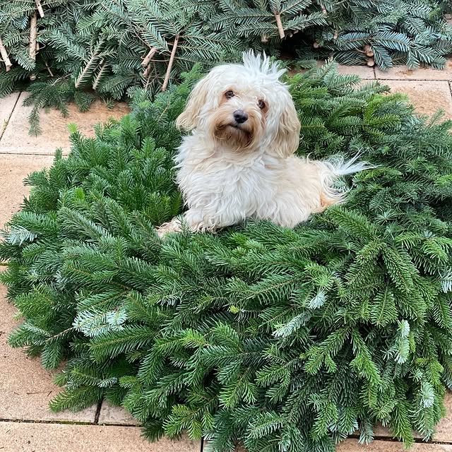 Post by fraeuleinvintagezauber