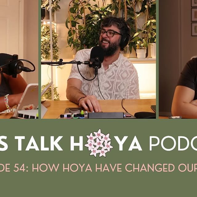 Post by lets.talkhoya