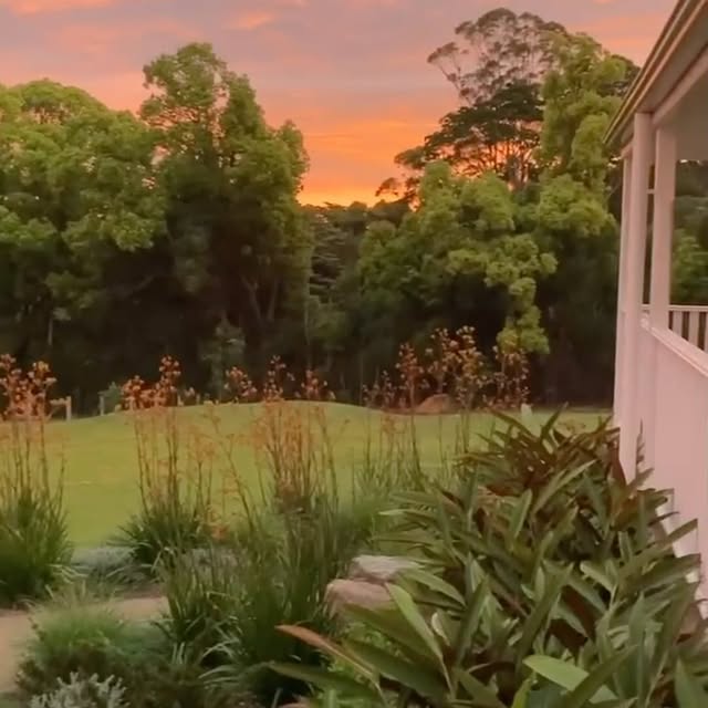 Post by theplot_binnaburra