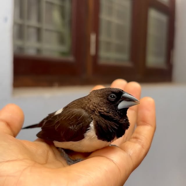 Post by suraksha_unfiltered