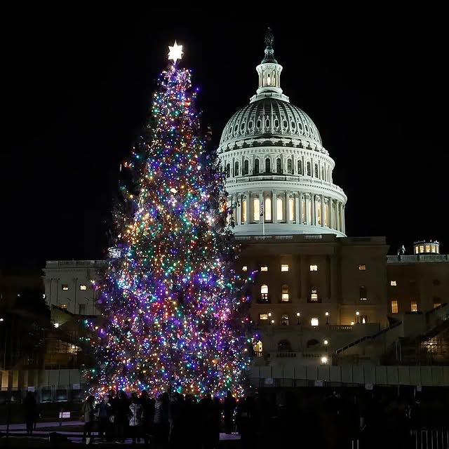 Post by stateforesters