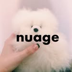 🍈ᴿᵉⁱⁿᵃ🫧🥣 ͗ ͗'s profile picture