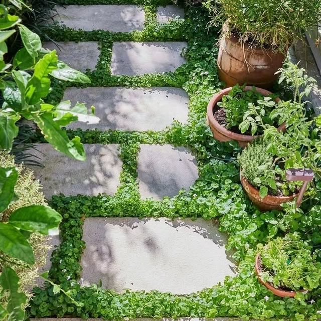 Post by gardenaddicts