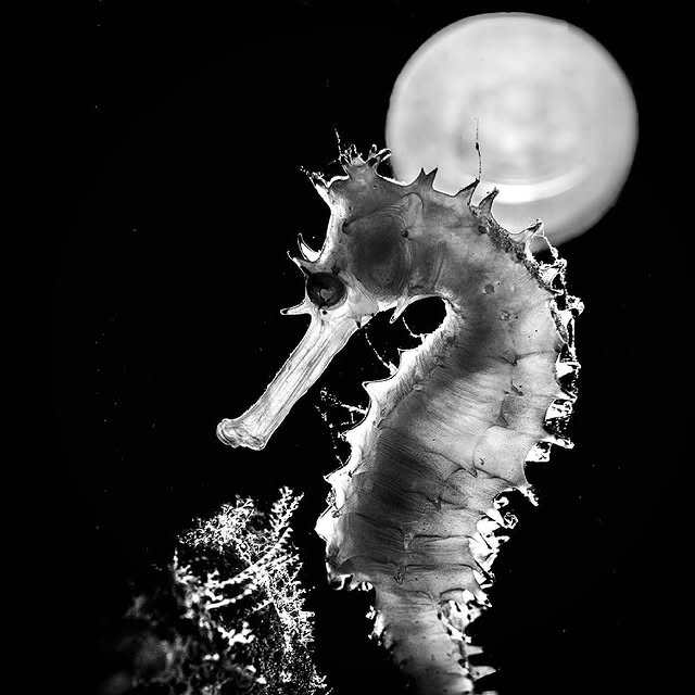 Post by floodedcamera