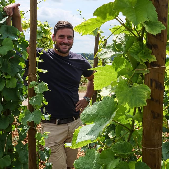 Post by littlewine.io