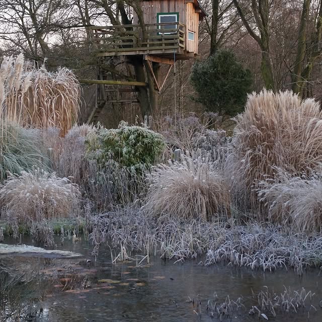 Post by garten_und_hof