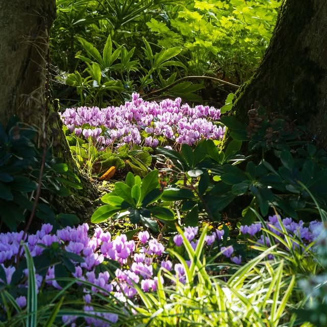 Post by jeremy.n.allen