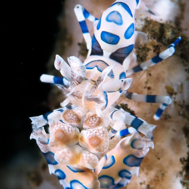 Post by kathrin_underwater